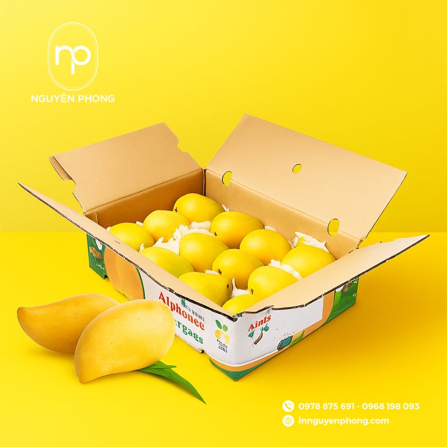 in-thung-carton-gia-re-tai-TPHCM